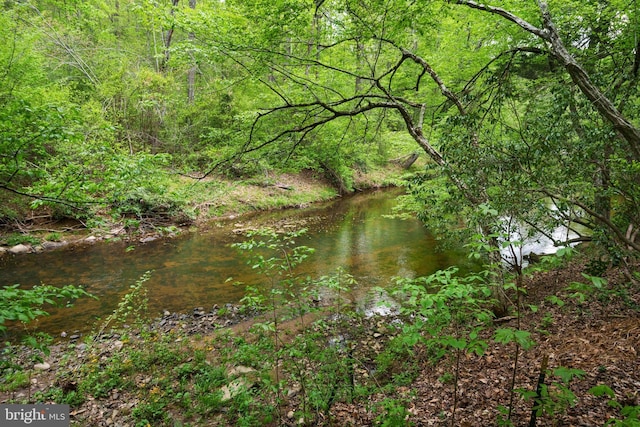 view of local wilderness featuring a wooded view
