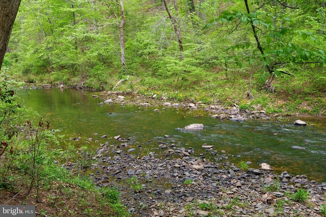 view of local wilderness featuring a view of trees