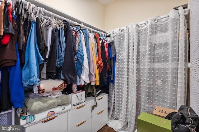 spacious closet featuring wood finished floors