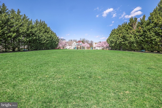 8507 Young Rivers Ct Unit 22, Laurel, MD 20723 - view of grassy yard