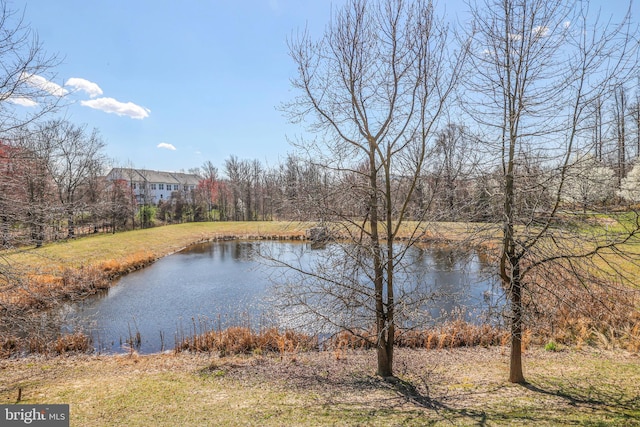 8507 Young Rivers Ct Unit 22, Laurel, MD 20723 - water view