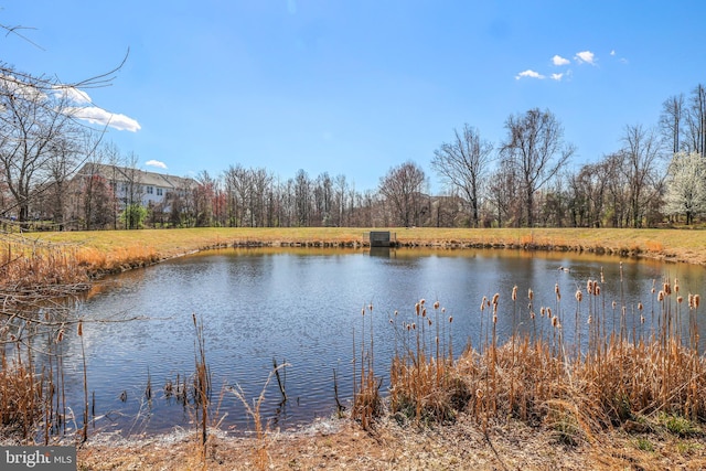 8507 Young Rivers Ct Unit 22, Laurel, MD 20723 - water view