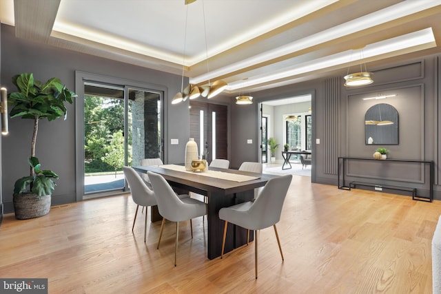 dining room with wood finished floors and a raised ceiling