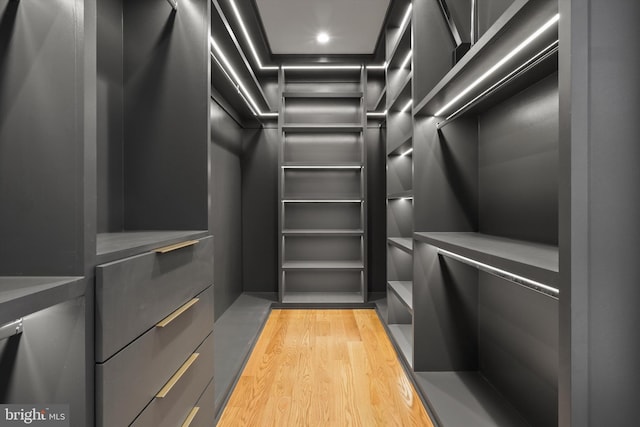 walk in closet featuring light wood-style flooring