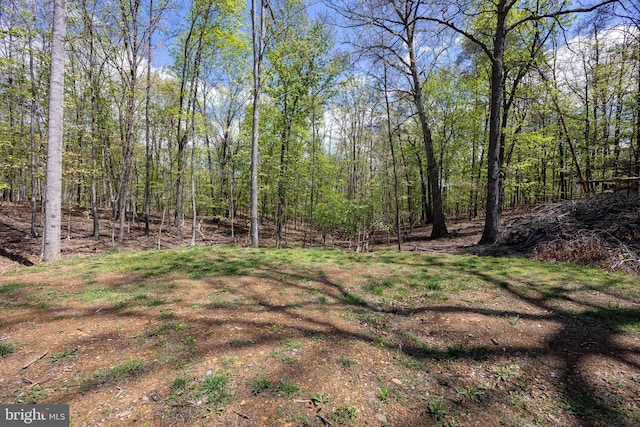 350 Rotterham Dr, Hedgesville, WV 25427 - view of yard