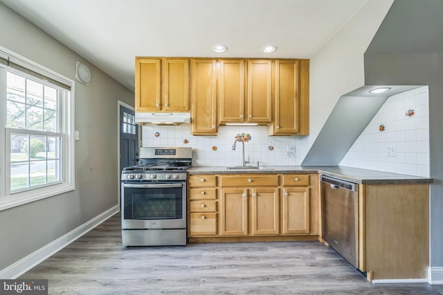 kitchen with tasteful backsplash, a sink, appliances with stainless steel finishes, under cabinet range hood, and light wood-type flooring