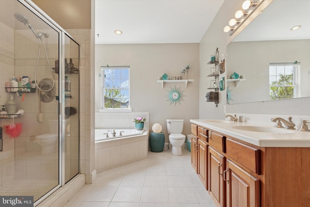 full bath featuring toilet, a sink, a shower stall, and a wealth of natural light