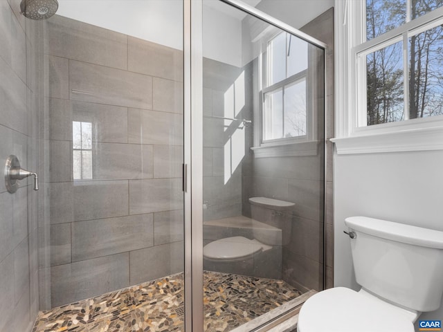 3185 Polecat Creek Ln, Scottsville, VA 24590 - bathroom with toilet and a stall shower