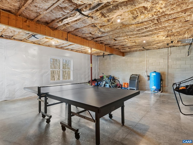 3185 Polecat Creek Ln, Scottsville, VA 24590 - recreation room with concrete block wall and finished concrete flooring