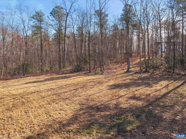 3185 Polecat Creek Ln, Scottsville, VA 24590 - view of landscape with a wooded view
