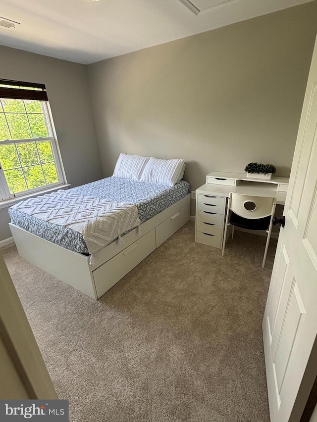 6733 Emmanuel Ct, Gainesville, VA 20155 - bedroom featuring carpet flooring