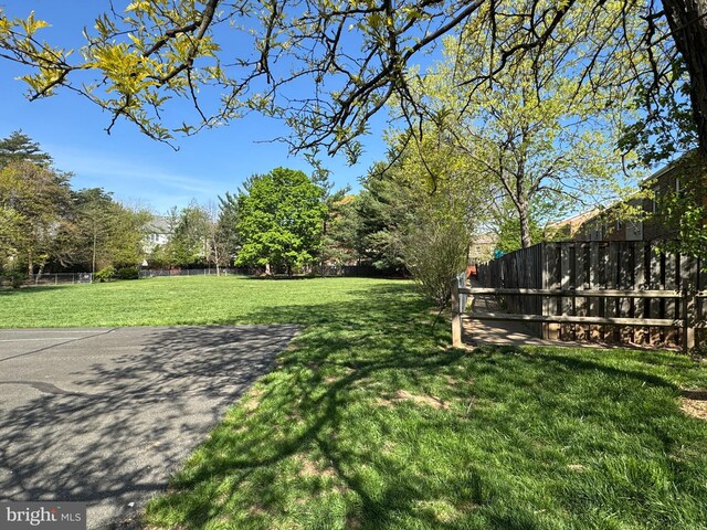 6558 Gildar St, Alexandria, VA 22310 - view of yard