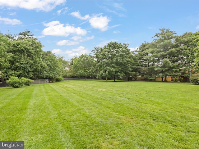 6558 Gildar St, Alexandria, VA 22310 - view of yard with view of wooded area