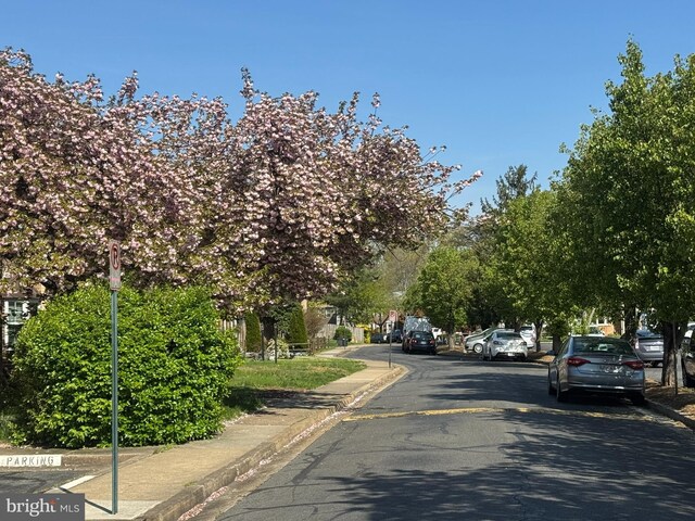 6558 Gildar St, Alexandria, VA 22310 - view of asphalt street with curbs and sidewalks