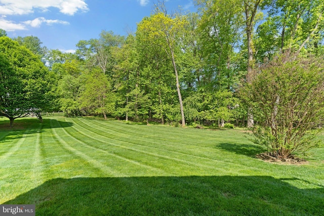 view of green lawn