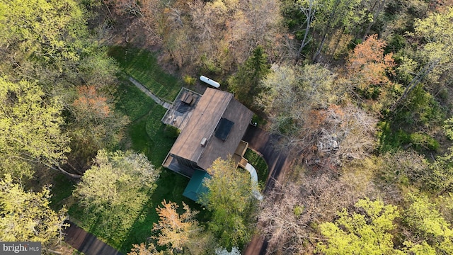 bird's eye view