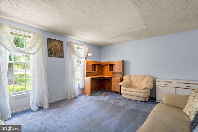 12916 New Hampshire Ave, Silver Spring, MD 20904 - living room with carpet flooring and a textured ceiling
