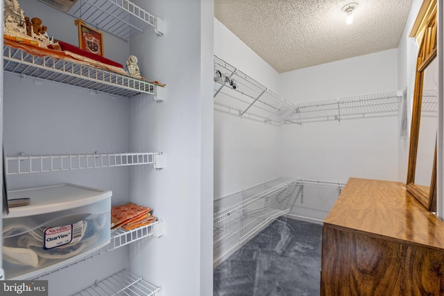 12916 New Hampshire Ave, Silver Spring, MD 20904 - walk in closet with carpet floors
