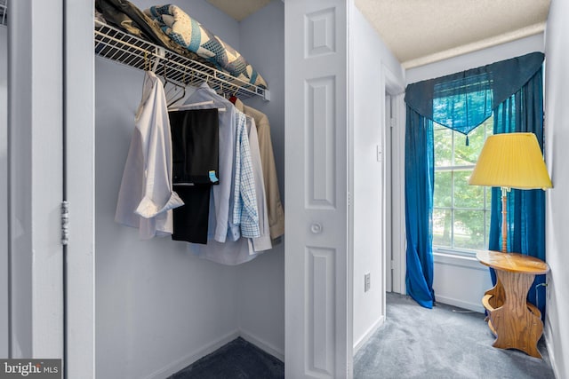 12916 New Hampshire Ave, Silver Spring, MD 20904 - spacious closet with carpet floors