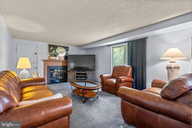 12916 New Hampshire Ave, Silver Spring, MD 20904 - living room featuring carpet flooring and a textured ceiling