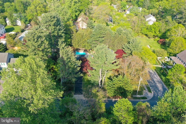 bird's eye view
