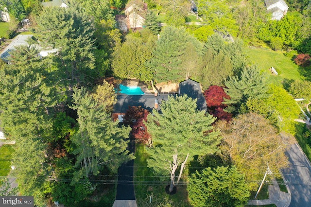 aerial view