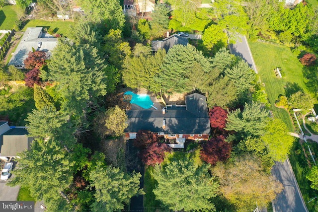aerial view