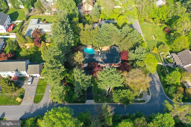 bird's eye view