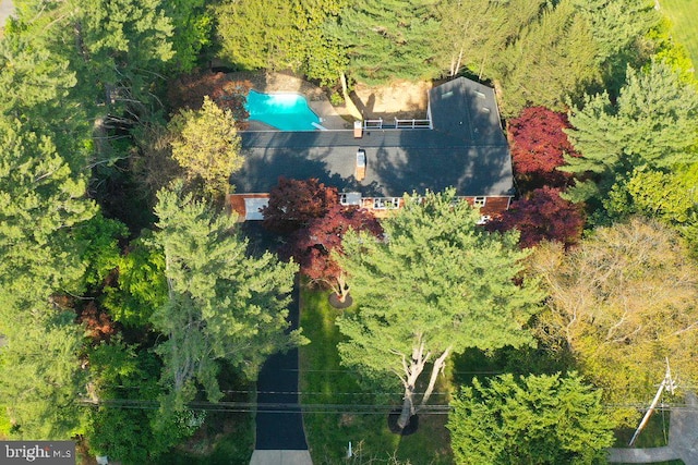 aerial view