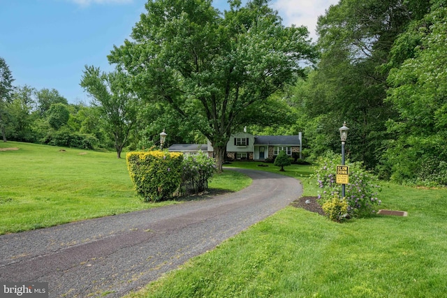 413 Bucktoe Rd, Avondale, PA 19311 - view of asphalt driveway with street lights
