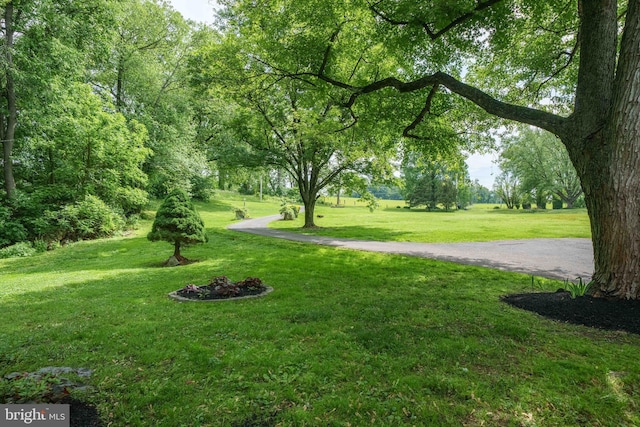 413 Bucktoe Rd, Avondale, PA 19311 - view of community with a yard