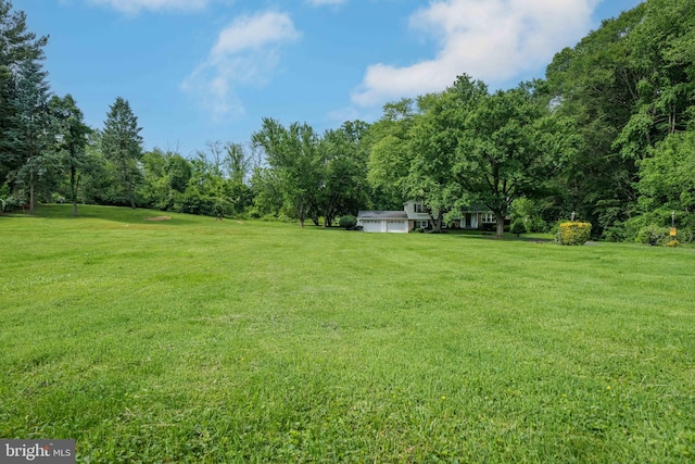 413 Bucktoe Rd, Avondale, PA 19311 - view of green lawn