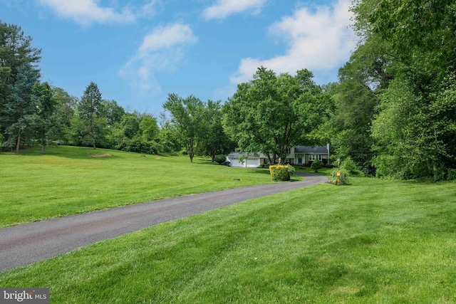 413 Bucktoe Rd, Avondale, PA 19311 - view of asphalt driveway