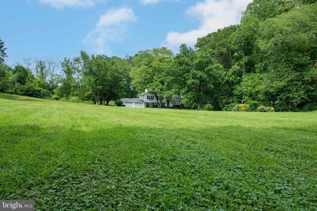 413 Bucktoe Rd, Avondale, PA 19311 - view of grassy yard with a view of trees
