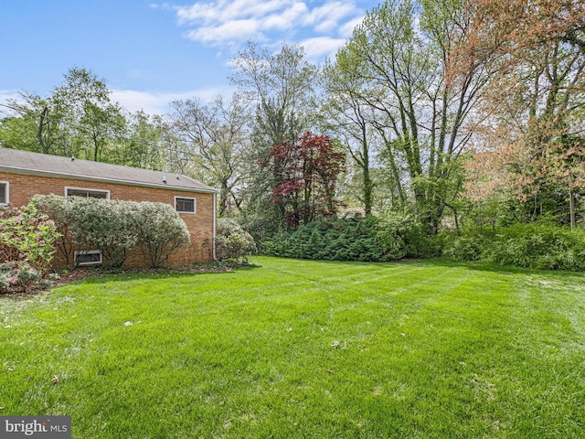 view of yard