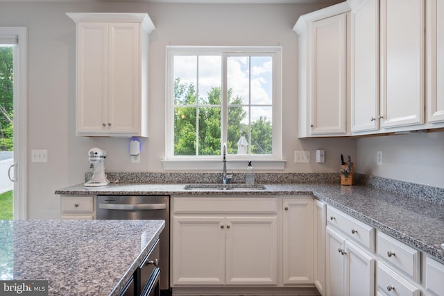 kitchen featuring a sink, dishwasher, and healthy amount of natural light