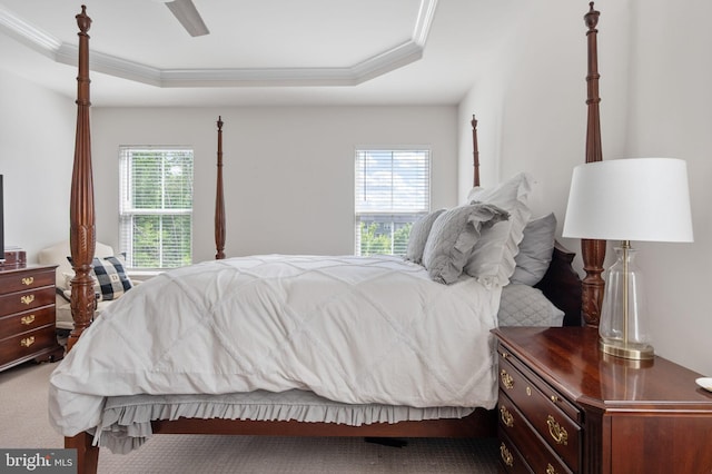 bedroom featuring ornamental molding, a raised ceiling, carpet, and a ceiling fan