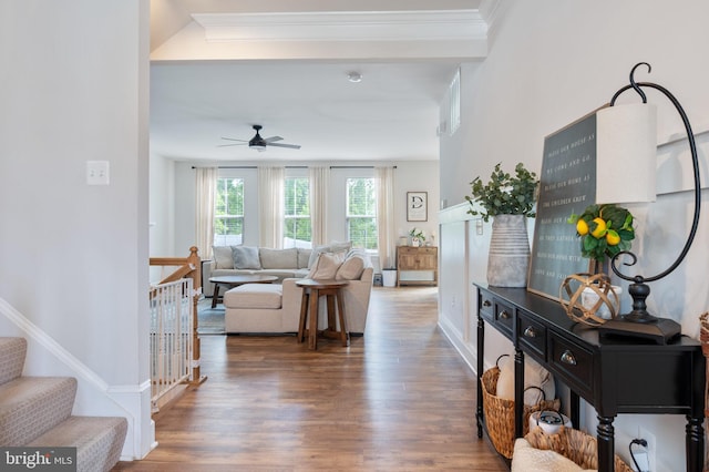 living area featuring wood finished floors, ceiling fan, and ornamental molding