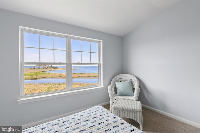 bedroom featuring a water view, baseboards, and carpet