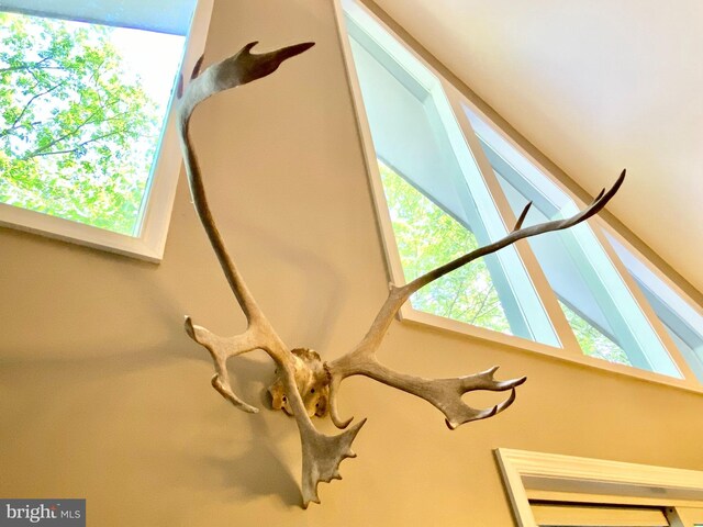 detailed view