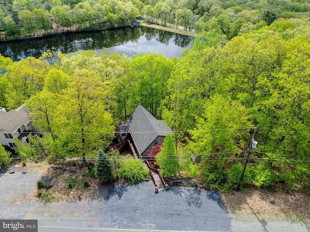 aerial view of property and surrounding area featuring a forest and a large body of water