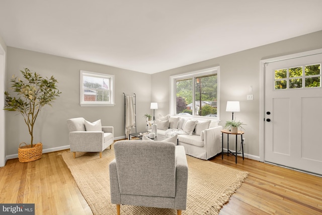 909 Snure Rd, Silver Spring, MD 20901 - living area with light wood-style flooring and baseboards
