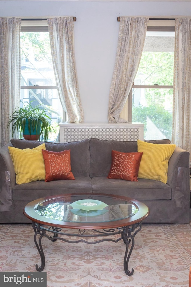 living room featuring a healthy amount of sunlight