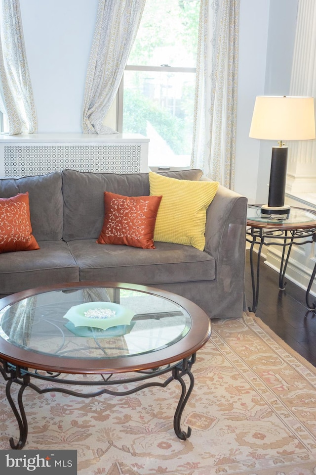 living room featuring light wood-style floors