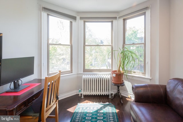 office with radiator, baseboards, and wood finished floors