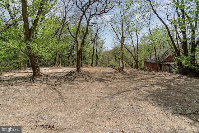 5300 Bino Rd, Greencastle, PA 17225 - view of yard