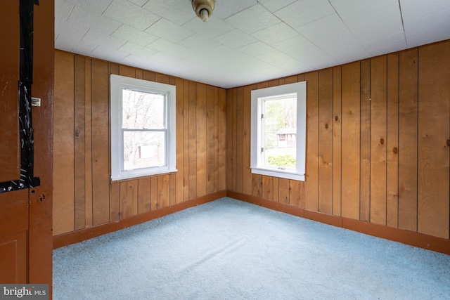 carpeted spare room featuring wood walls and a healthy amount of sunlight