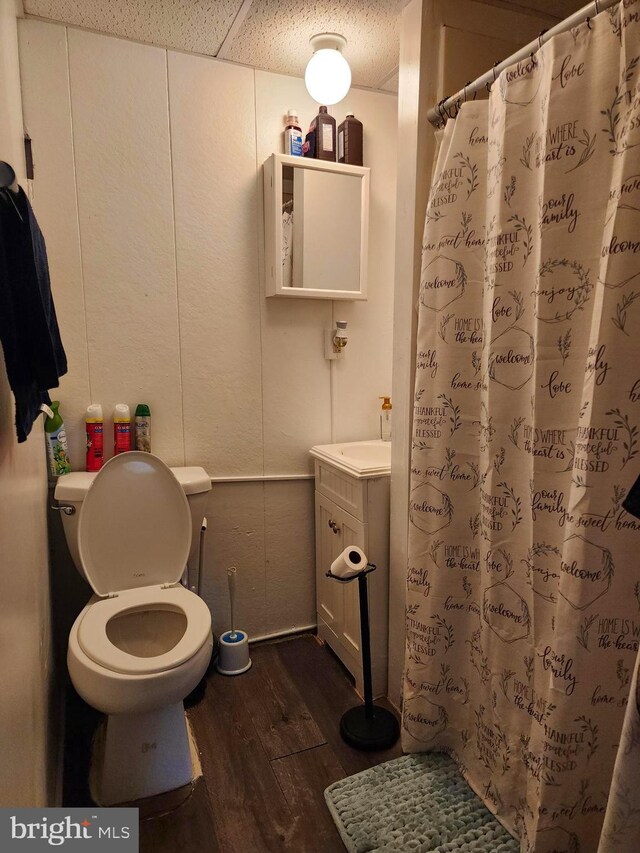 bathroom with wood finished floors, toilet, vanity, and a shower with curtain