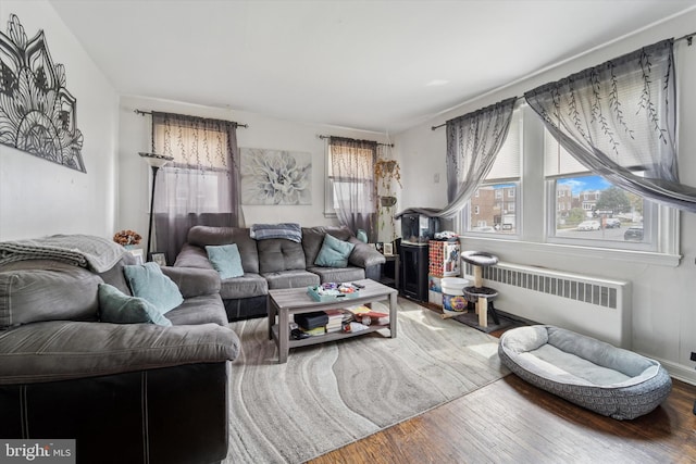 living area featuring radiator and wood finished floors