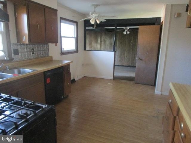 kitchen featuring light wood-style flooring, a sink, tasteful backsplash, black dishwasher, and ceiling fan
